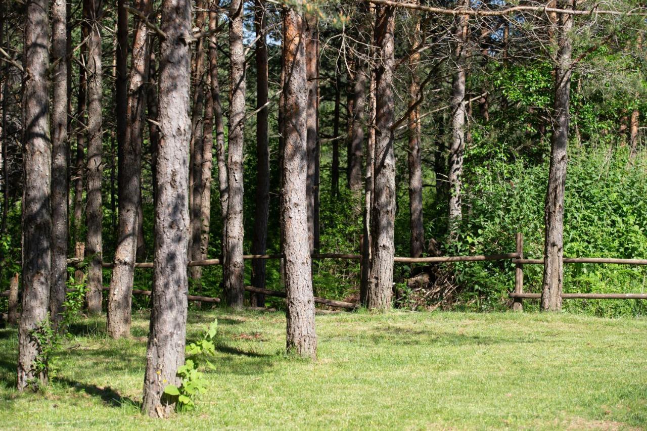 Timber Valley Plitvička Jezera Eksteriør billede