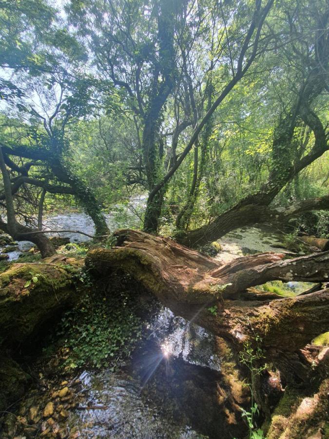 Timber Valley Plitvička Jezera Eksteriør billede